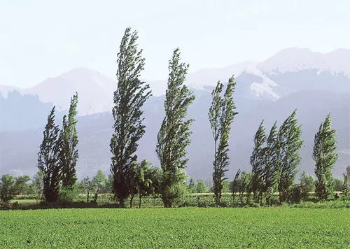 6937950901_4013874e22