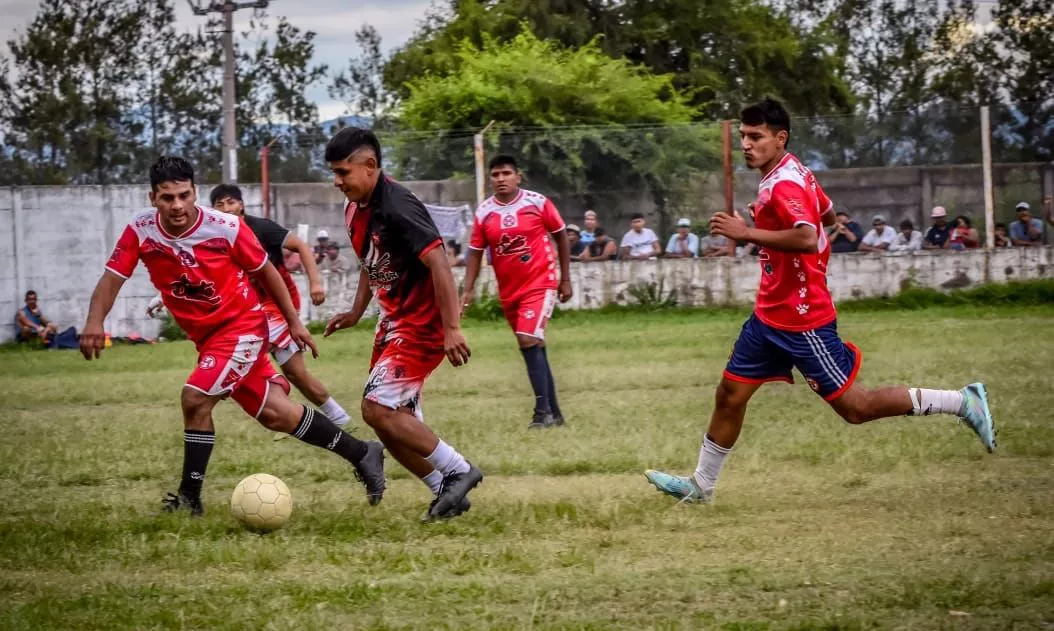 328313800_4135293246696669_2137939591656998011_n