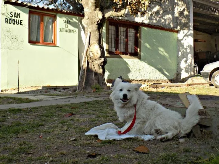 348438986_968779167597588_4560949280143627803_n