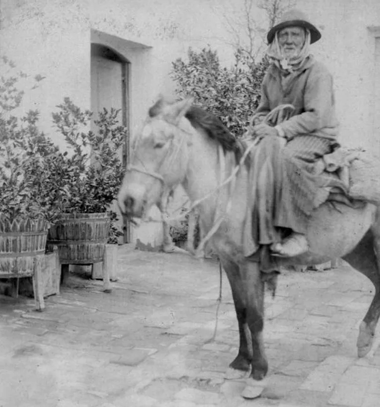 f768x1-283247_283374_7021