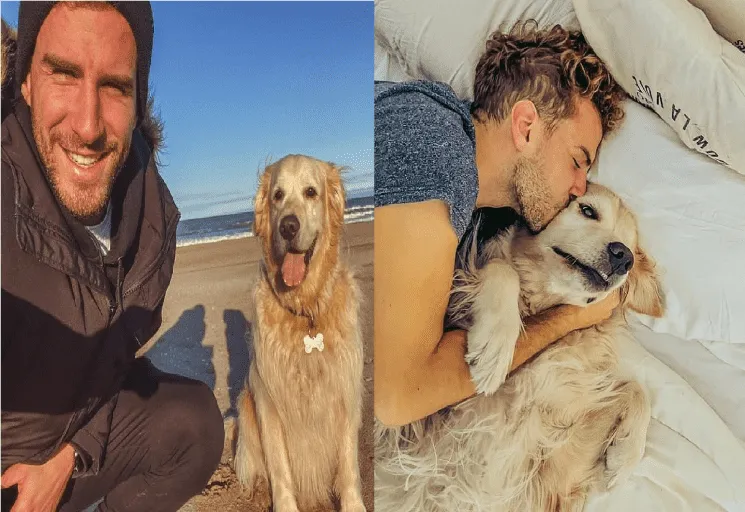 espaxa-perro.png_514751371