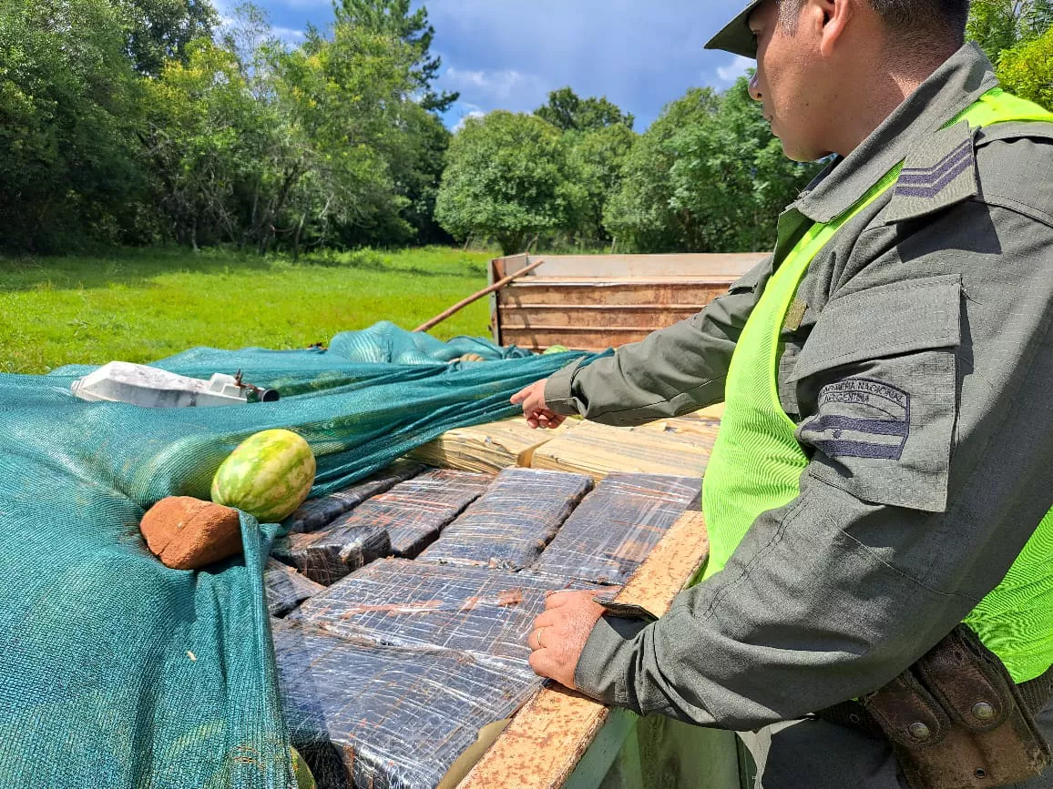 secuestran_mas_de_4_toneladas_de_marihuana_ocultas_entre_sandias_y_melones_1_1