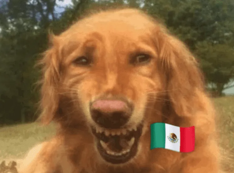 memes_de_mexico_vs_argentina.png_628344454