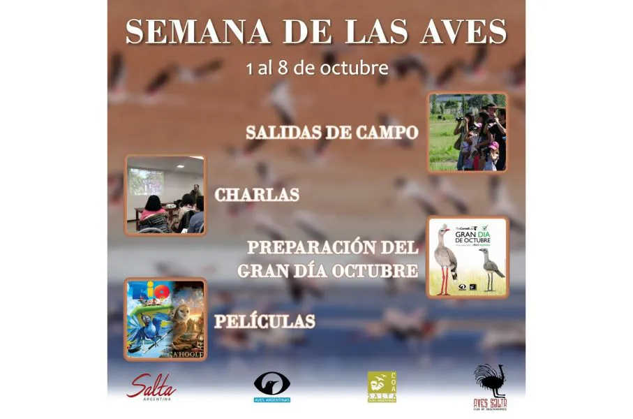 92187-el-parque-del-bicentenario-celebra-la-semana-de-las-aves-con-numerosas-actividades