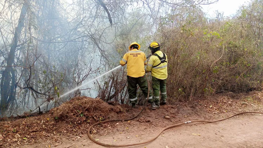 4721-incendios-forestales-en-la-provincia