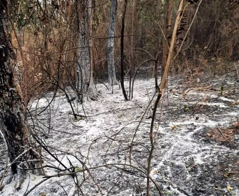 4760-se-logro-controlar-el-incendio-en-chicoana