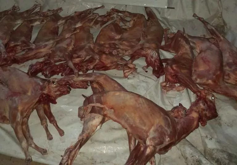 WhatsApp-Image-2022-12-21-at-11.51.09-768x1024