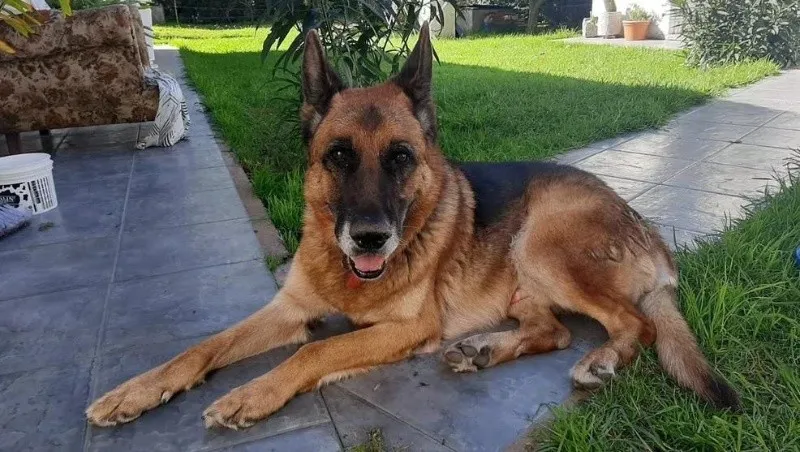 cash_2_crop1684851180583.jpg_673147386