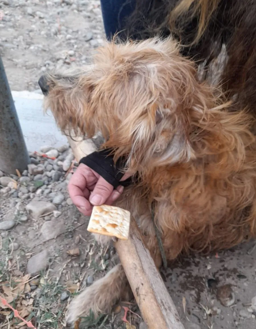 346879216_1754789451590707_9189279648599285798_n