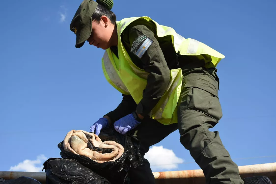 salta-camiones_soja_y_maiz_4