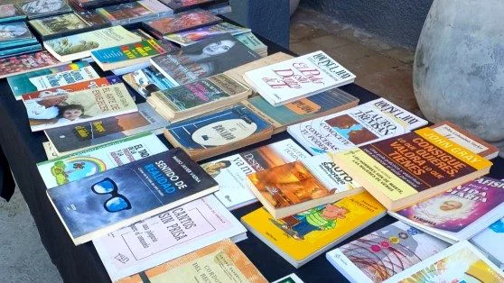 suelta de libros en La Merced