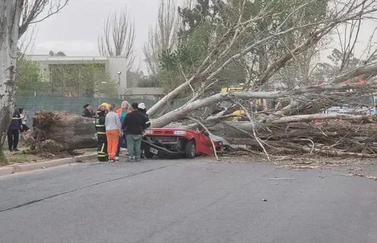 Temporal en Mendoza 2