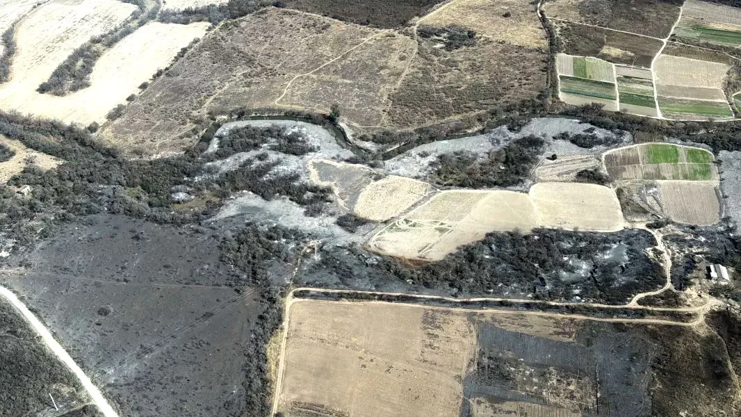 INCENDIOS 1