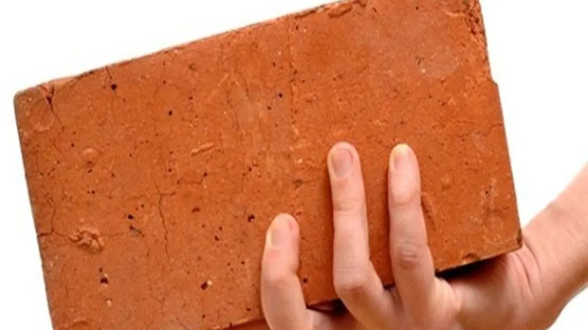 ladrillazo-la-cabezajpg