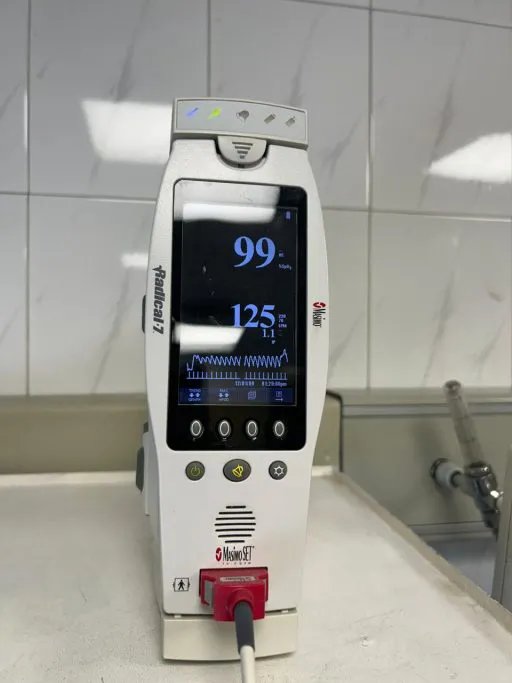 UDEC_Neofenix02-512x683