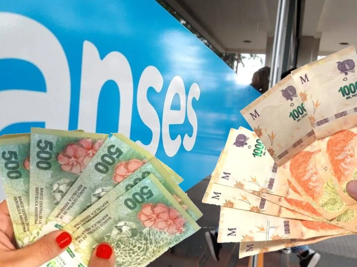 anses_x3x.jpg_675828847