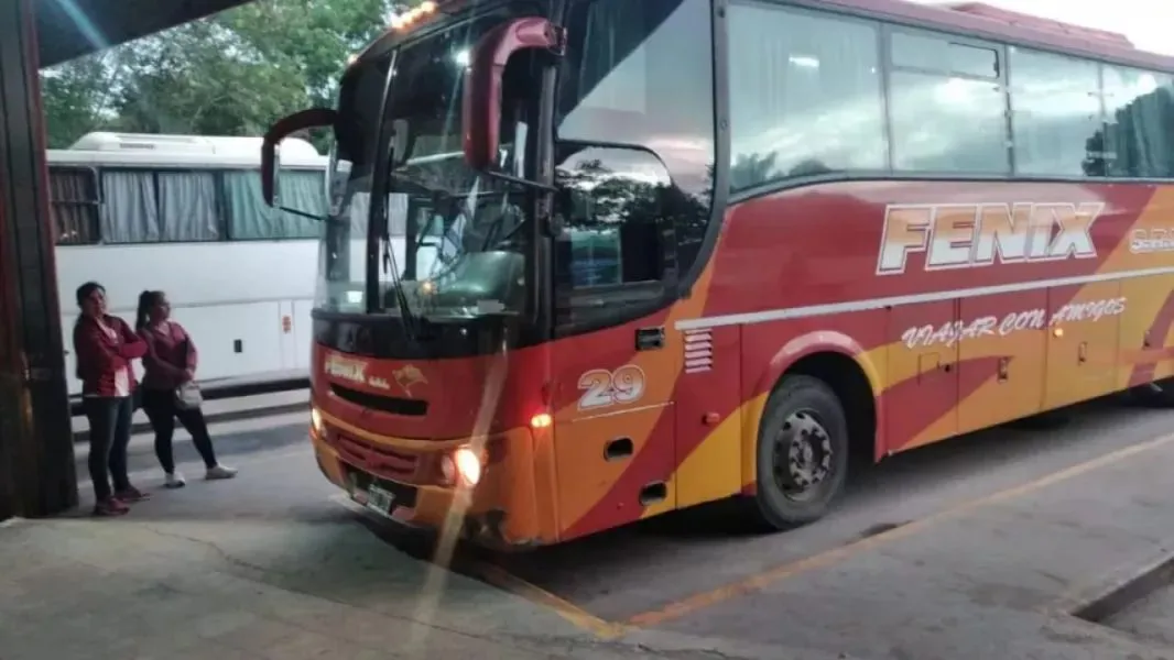 colectivos 2