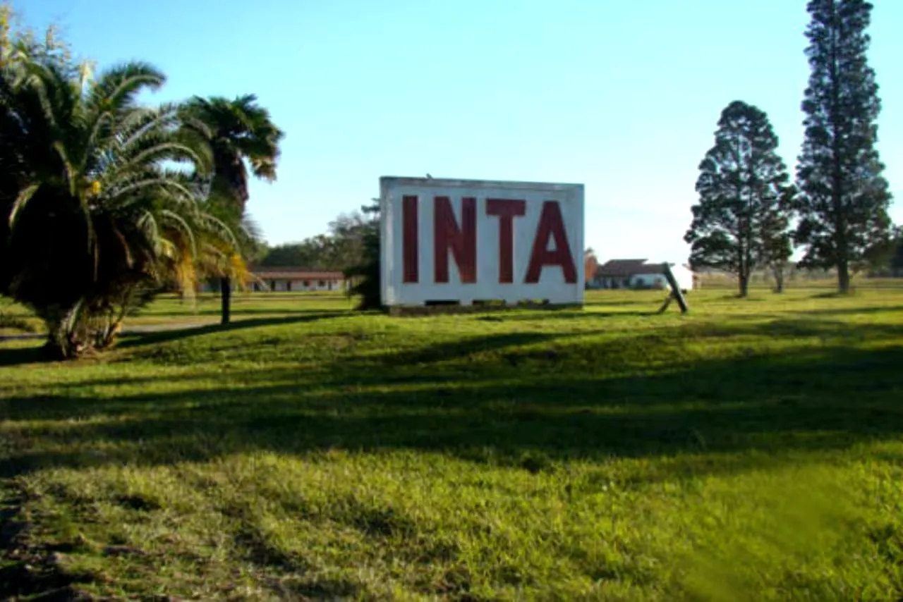 INTA