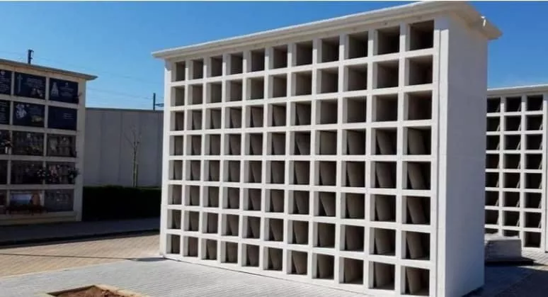 318118882_10229567729919278_4067595823503597575_n