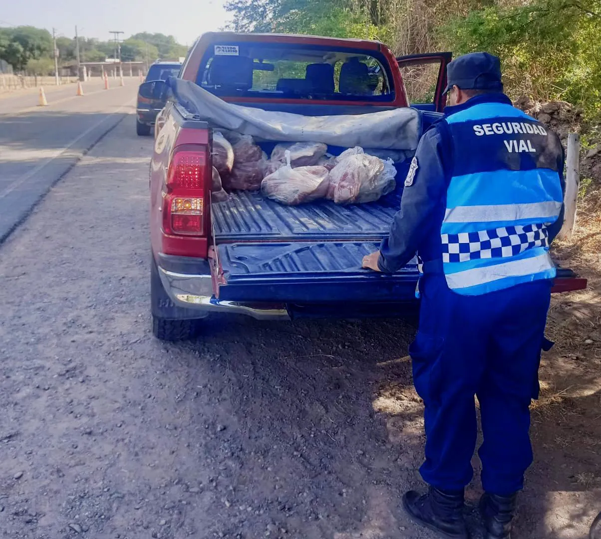 Transporte ilegal de carne