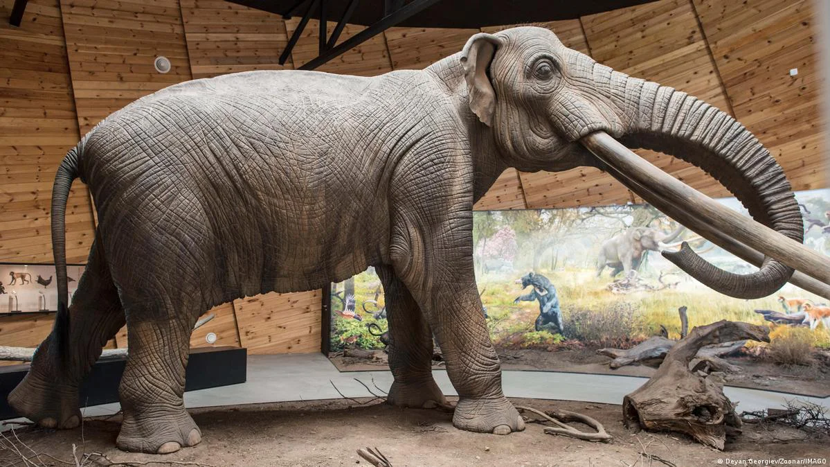 MASTODONTE