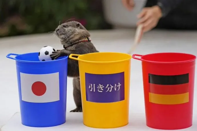 taiyowebp