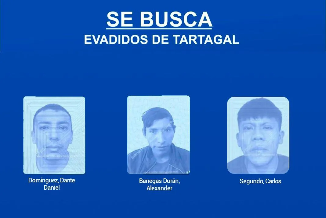 tartagal 2