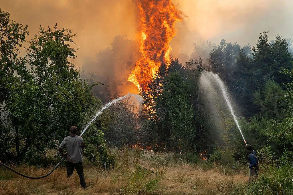 incendios forestales