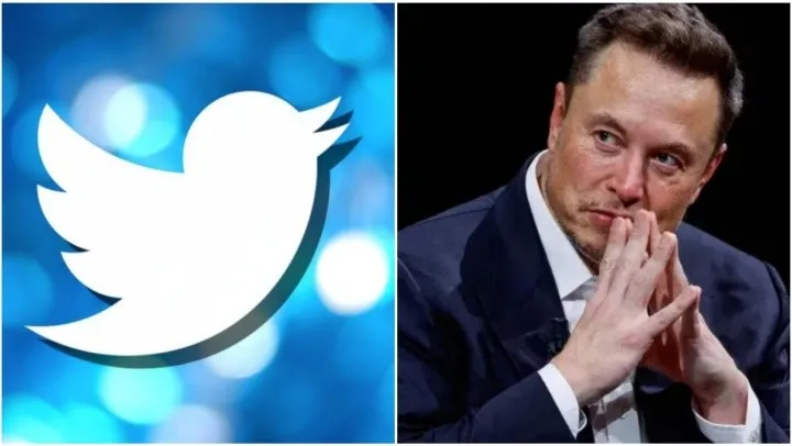 twitter-pajarito-elon-musk_1_crop1690203243785.jpg_1833193316