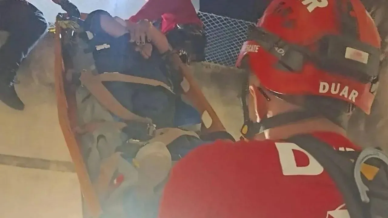 rescate de gato