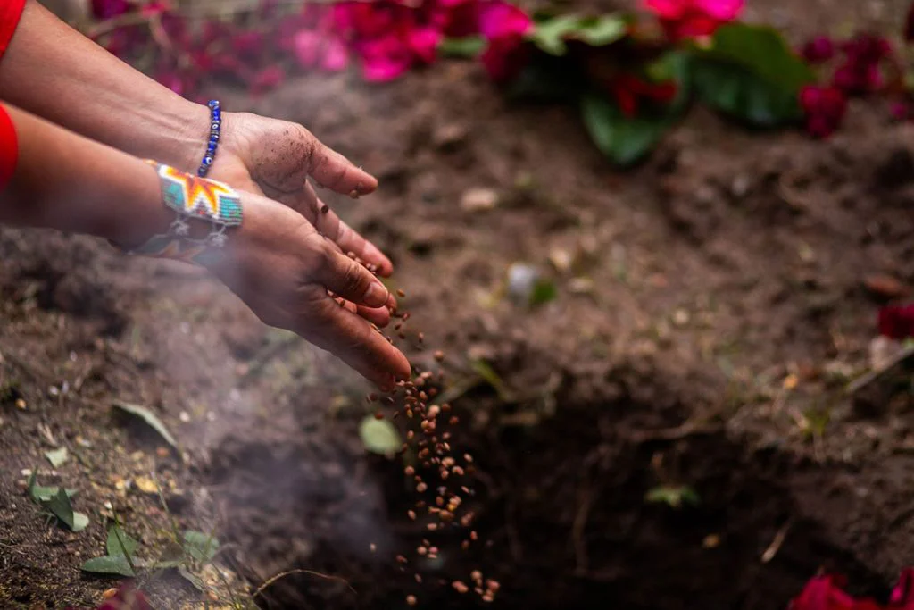 pachamama 2
