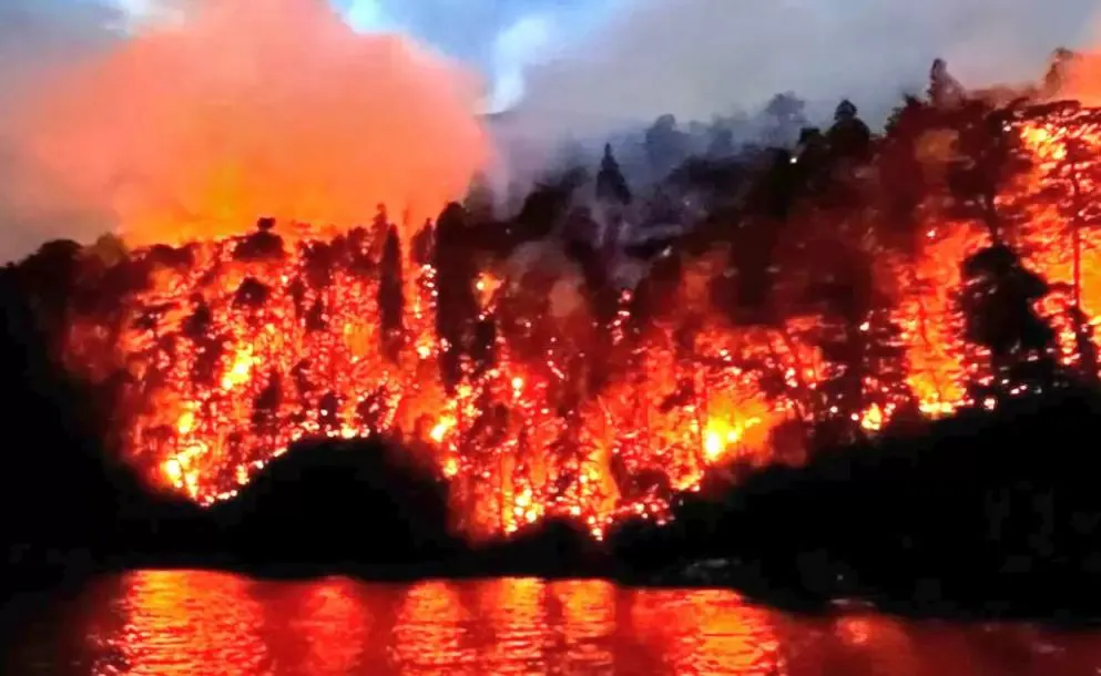 incendio 1